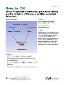VPS34-Acetylation-Controls-Its-Lipid-Kinase-Activity-and-the-Initiation-of-Canonical-and-Non-canonical-Autophagy_2017_Molecular-Cell
