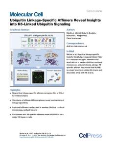 Ubiquitin-Linkage-Specific-Affimers-Reveal-Insights-into-K6-Linked-Ubiquitin-Signaling_2017_Molecular-Cell