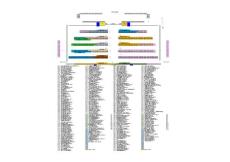 2017招聘會(huì)現(xiàn)場(chǎng)布置圖（最終方案）
