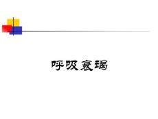 呼吸衰竭ppt