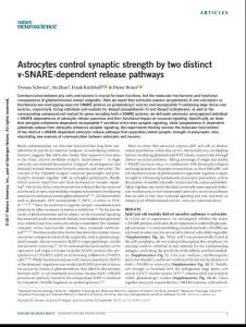 nn.4647-Astrocytes control synaptic strength by two distinct v-SNARE-dependent release pathways