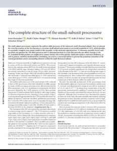 nsmb.3472-The complete structure of the small-subunit processome