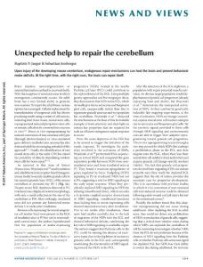 nn.4640-Unexpected help to repair the cerebellum