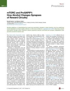 Neuron_2017_mTORC-and-ProSAPiP1-How-Alcohol-Changes-Synapses-of-Reward-Circuitry
