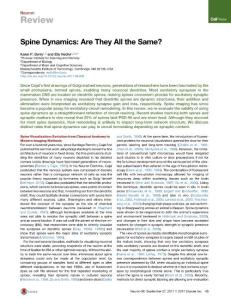 Neuron_2017_Spine-Dynamics-Are-They-All-the-Same-