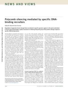 ng.3961-Polycomb silencing mediated by specific DNA-binding recruiters