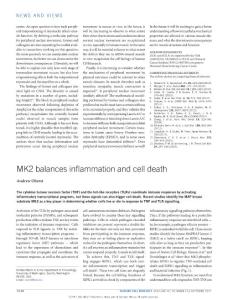 ncb3619-MK2 balances inflammation and cell death