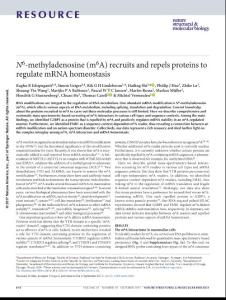 nsmb.3462-N6-methyladenosine (m6A) recruits and repels proteins to regulate mRNA homeostasis