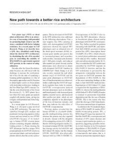 cr2017115a-New path towards a better rice architecture