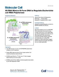 Molecular Cell-2017-6S RNA Mimics B-Form DNA to Regulate Escherichia coli RNA Polymerase