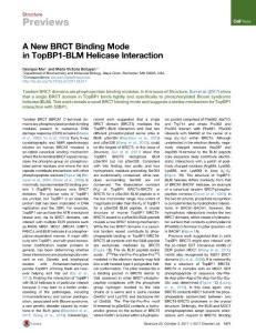 Structure_2017_A-New-BRCT-Binding-Mode-in-TopBP1-BLM-Helicase-Interaction