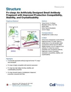 Structure_2017_Fv-clasp-An-Artificially-Designed-Small-Antibody-Fragment-with-Improved-Production-Compatibility-Stability-and-Crystallizability