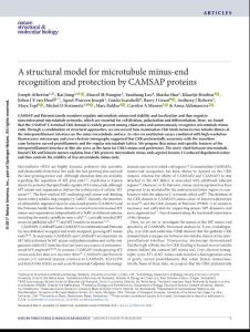 nsmb.3483-A structural model for microtubule minus-end recognition and protection by CAMSAP proteins
