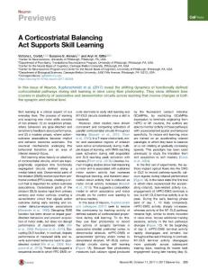 Neuron_2017_A-Corticostriatal-Balancing-Act-Supports-Skill-Learning