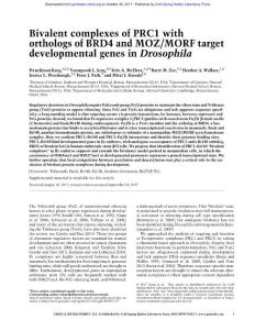 Genes Dev.-2017-Kang-Bivalent complexes of PRC1 with orthologs of BRD4 and MOZ:MORF target developmental genes in Drosophila