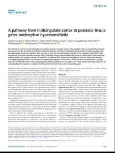 nn.4645-A pathway from midcingulate cortex to posterior insula gates nociceptive hypersensitivity