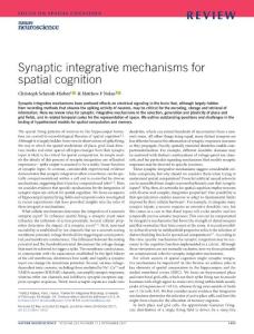 nn.4652-Synaptic integrative mechanisms for spatial cognition