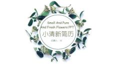 （精品）小清新個人求職簡歷ppt動態(tài)模板