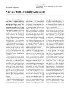 cr2017136a-A circular twist on microRNA regulation