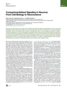 Compartmentalized-Signaling-in-Neurons--From-Cell-Biology-to-Neur_2017_Neuro