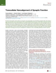 Transcellular-Nanoalignment-of-Synaptic-Function_2017_Neuron