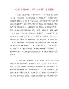 -公司爭(zhēng)創(chuàng)市級(jí)“青年文明號(hào)”申報(bào)材料