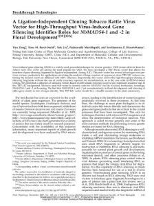 A Ligation-Independent Cloning Tobacco Rattle Virus