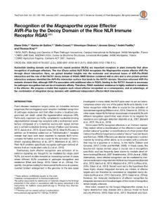 Recognition of the Magnaporthe oryzae Effector