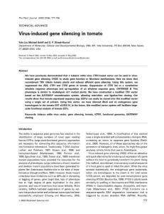 Virus-induced gene silencing in tomato