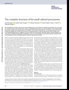 nsmb.3472-The complete structure of the small-subunit processome