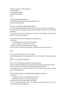 schriftlicher Ausdruck Beurteilungskriterien