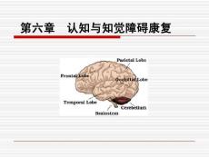 第六章 认知知觉障碍的康复评价与训练