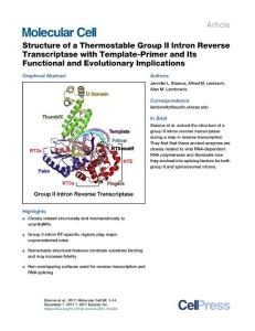Structure-of-a-Thermostable-Group-II-Intron-Reverse-Transcriptas_2017_Molecu