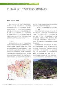 貴州西江鎮千戶苗寨旅游發展策略研究