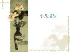 遗尿 ppt课件