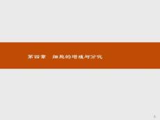 細胞的增殖 ppt課件