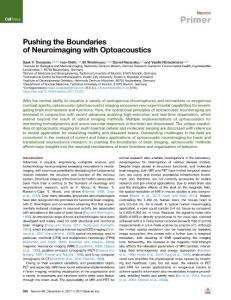 Pushing-the-Boundaries-of-Neuroimaging-with-Optoacoustics_2017_Neuron