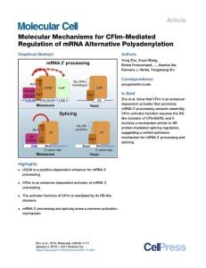 Molecular-Mechanisms-for-CFIm-Mediated-Regulation-of-mRNA-Alt_2017_Molecular