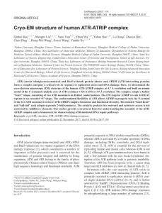 cr2017158-Cryo-EM structure of human ATR-ATRIP complex