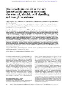 Genes Dev.-2017-Barghetti-2282-95-Heat-shock protein 40 is the key farnesylation target in meristem size control, abscisic acid signaling, and drought resistance