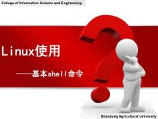 Linux基本使用-基本shell命令