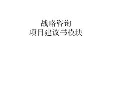 (2010版)中國(guó)企業(yè)戰(zhàn)略管理建議書