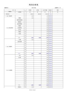 利潤(rùn)分析表