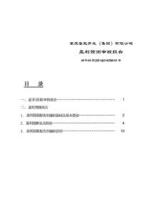 重慶魯能開發(fā)（集團）有限公司2019年盈利預(yù)測審核報告.pdf
