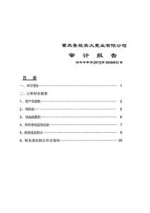 重慶魯能英大置業(yè)有限公司近兩年一期財務(wù)報告和審計報告.pdf