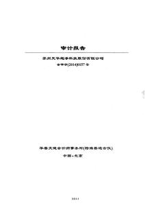 天華超凈：審計報告.pdf