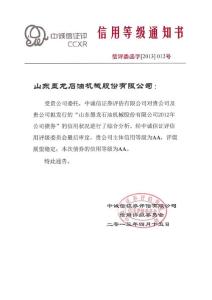 山東墨龍：2019年公司債券信用評級報告.pdf