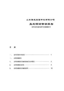 山東魯能亙富開發有限公司2019年盈利預測審核報告.pdf