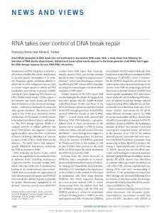 ncb3645-RNA takes over control of DNA break repair