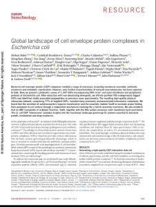 nbt.4024-Global landscape of cell envelope protein complexes in Escherichia coli
